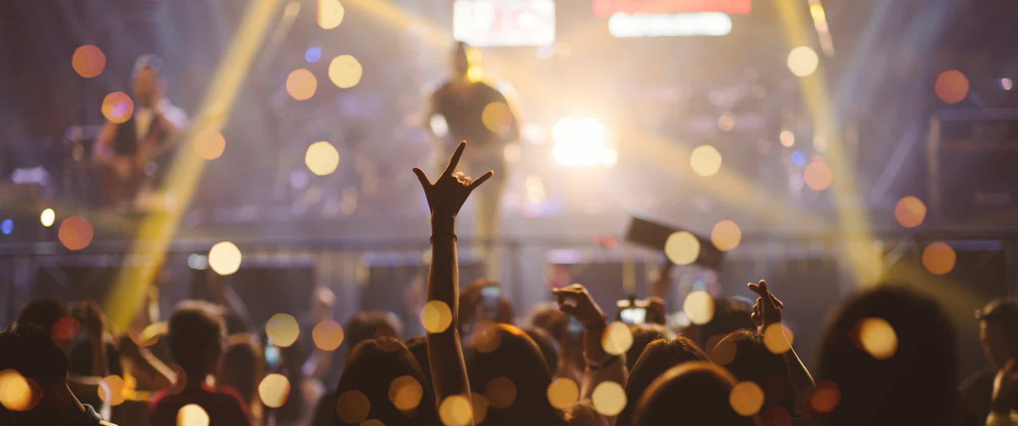Crowd holding up rock sign at a concert